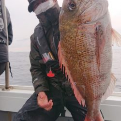 だて丸 釣果