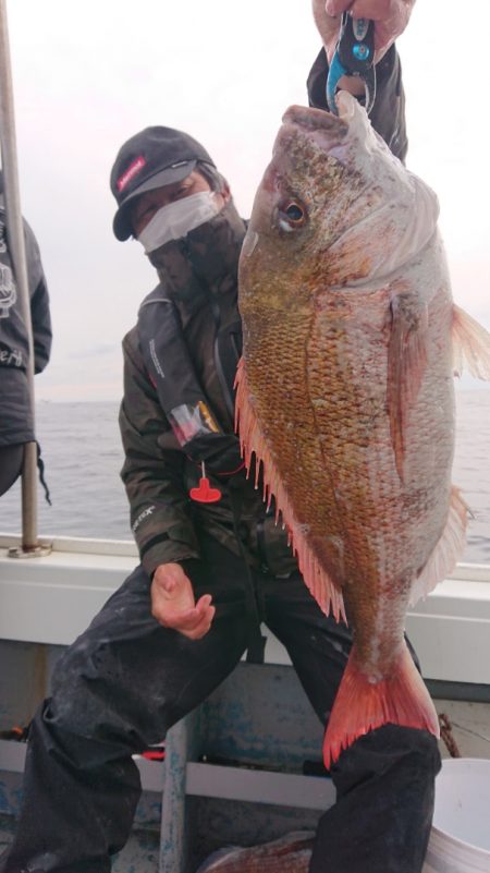 だて丸 釣果