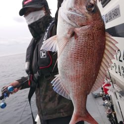 だて丸 釣果