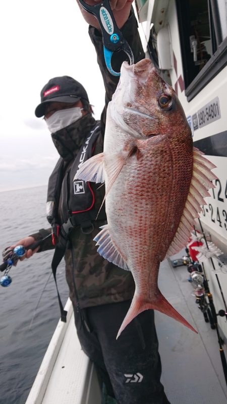 だて丸 釣果