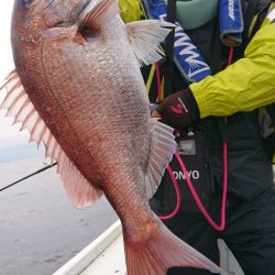 だて丸 釣果