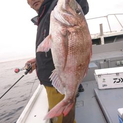 だて丸 釣果