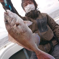 だて丸 釣果