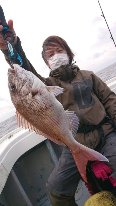 だて丸 釣果