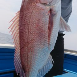 竹宝丸 釣果