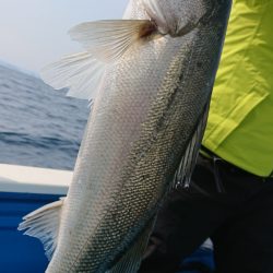 竹宝丸 釣果