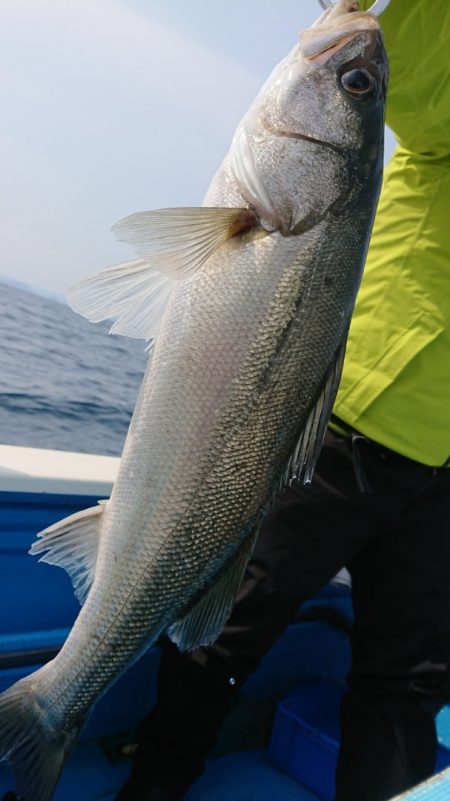 竹宝丸 釣果