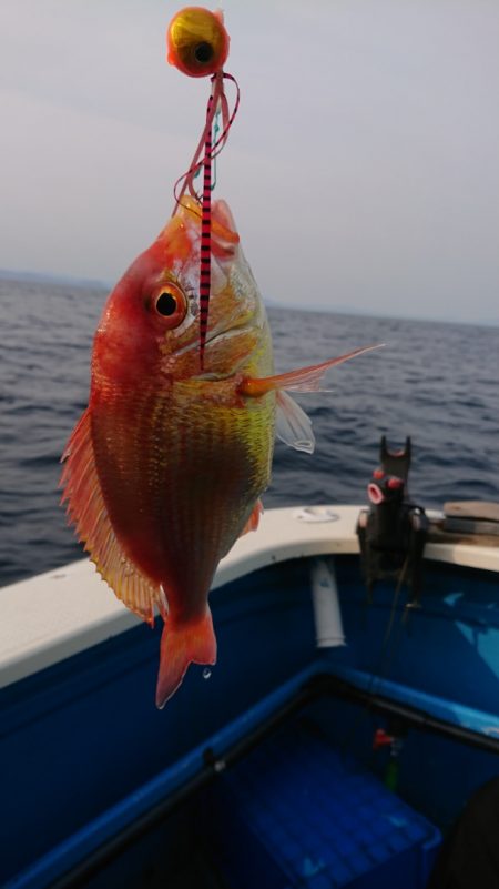 竹宝丸 釣果