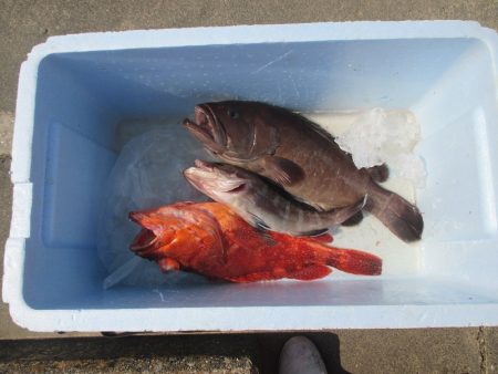 隆星丸 釣果