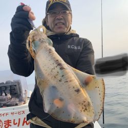 きずなまりん 釣果