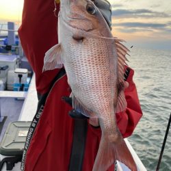 新幸丸 釣果