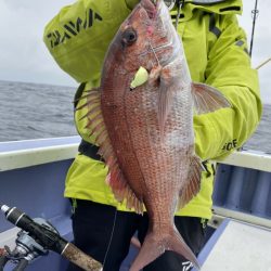 新幸丸 釣果