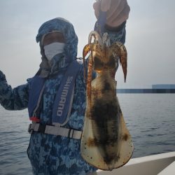 ソルトウォーターガイドフレンズ 釣果