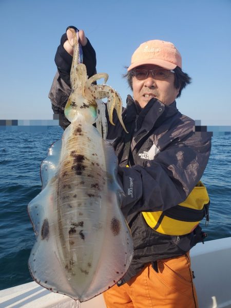 ソルトウォーターガイドフレンズ 釣果