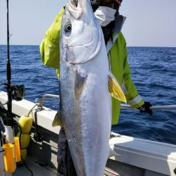 光生丸 釣果