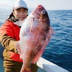 シーライオン 釣果