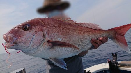 竹宝丸 釣果