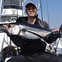 渡船屋たにぐち 釣果