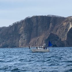 海友丸 釣果