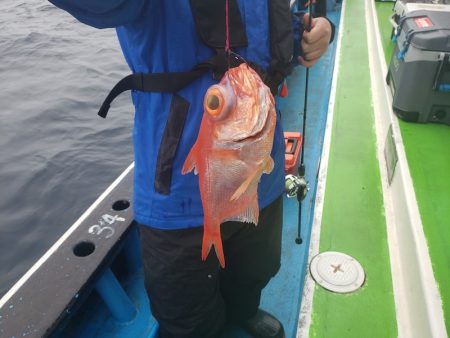 丸万釣船 釣果