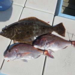 きずなまりん 釣果