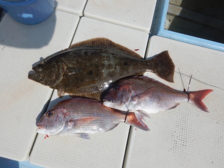 きずなまりん 釣果