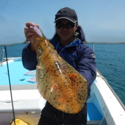 きずなまりん 釣果