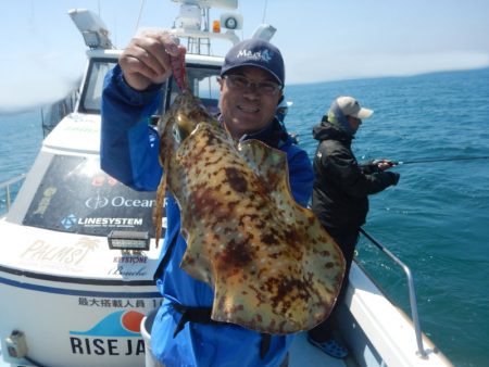 きずなまりん 釣果