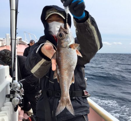 阿波哲 釣果