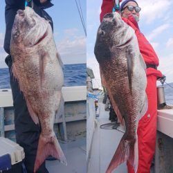 だて丸 釣果