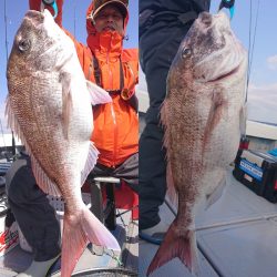 だて丸 釣果