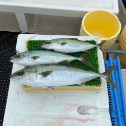 釣人家 釣果