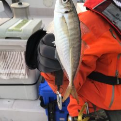 釣人家 釣果