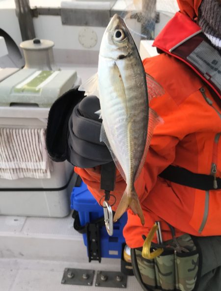 釣人家 釣果