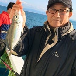 ヤザワ渡船 釣果