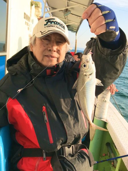 ヤザワ渡船 釣果