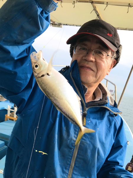 ヤザワ渡船 釣果