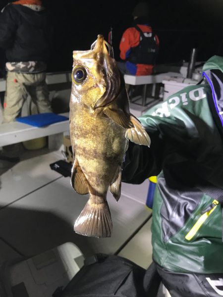 釣人家 釣果