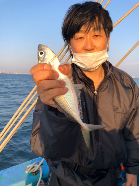 ヤザワ渡船 釣果