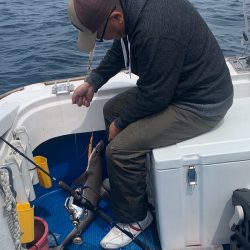 釣鯛洋 釣果