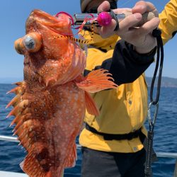 愛海丸 釣果