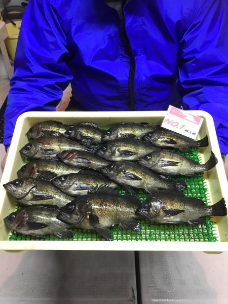 釣人家 釣果