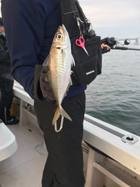 釣人家 釣果