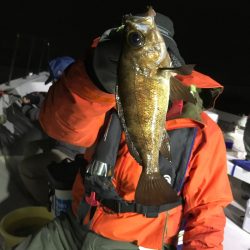 釣人家 釣果