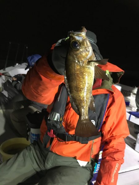 釣人家 釣果