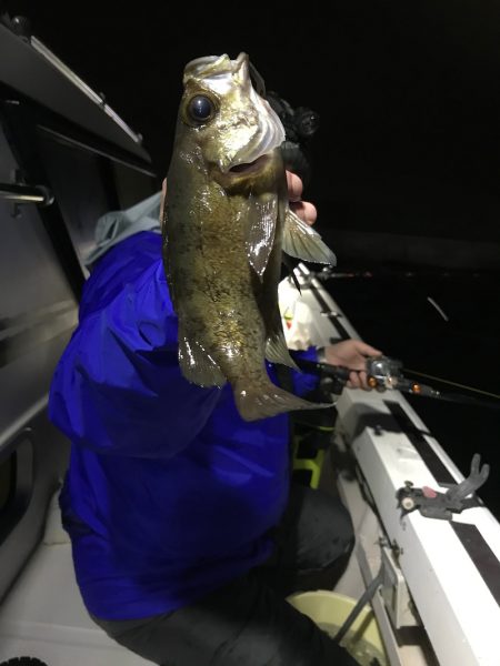 釣人家 釣果