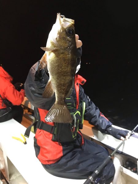 釣人家 釣果