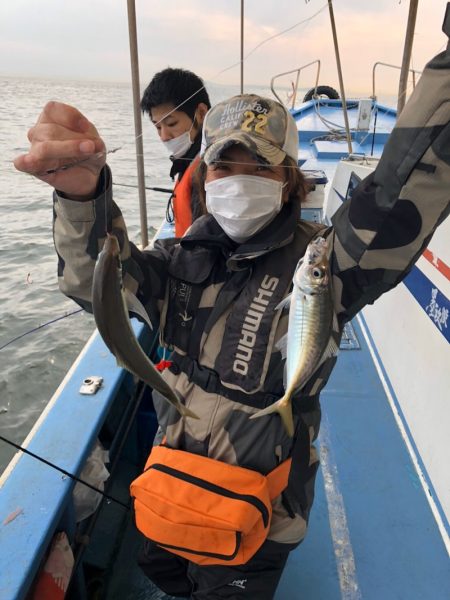 ヤザワ渡船 釣果