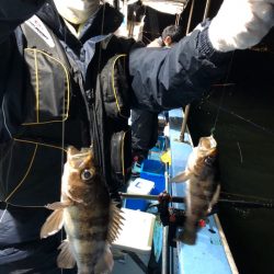 ヤザワ渡船 釣果