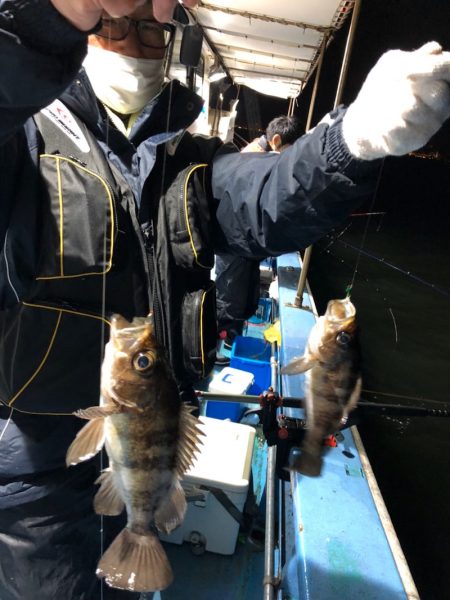 ヤザワ渡船 釣果